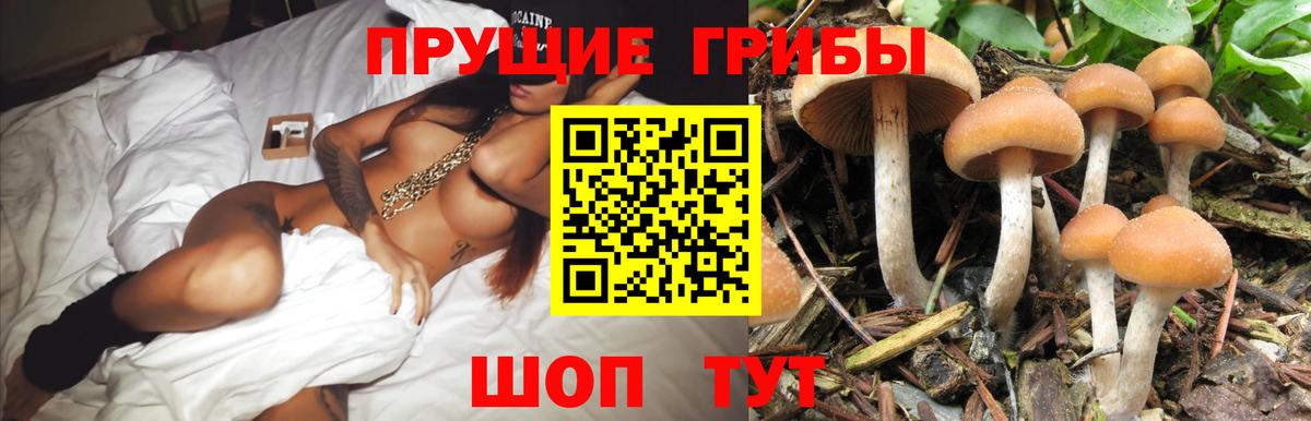 Галлюциногенные грибы GOLDEN TEACHER Углич